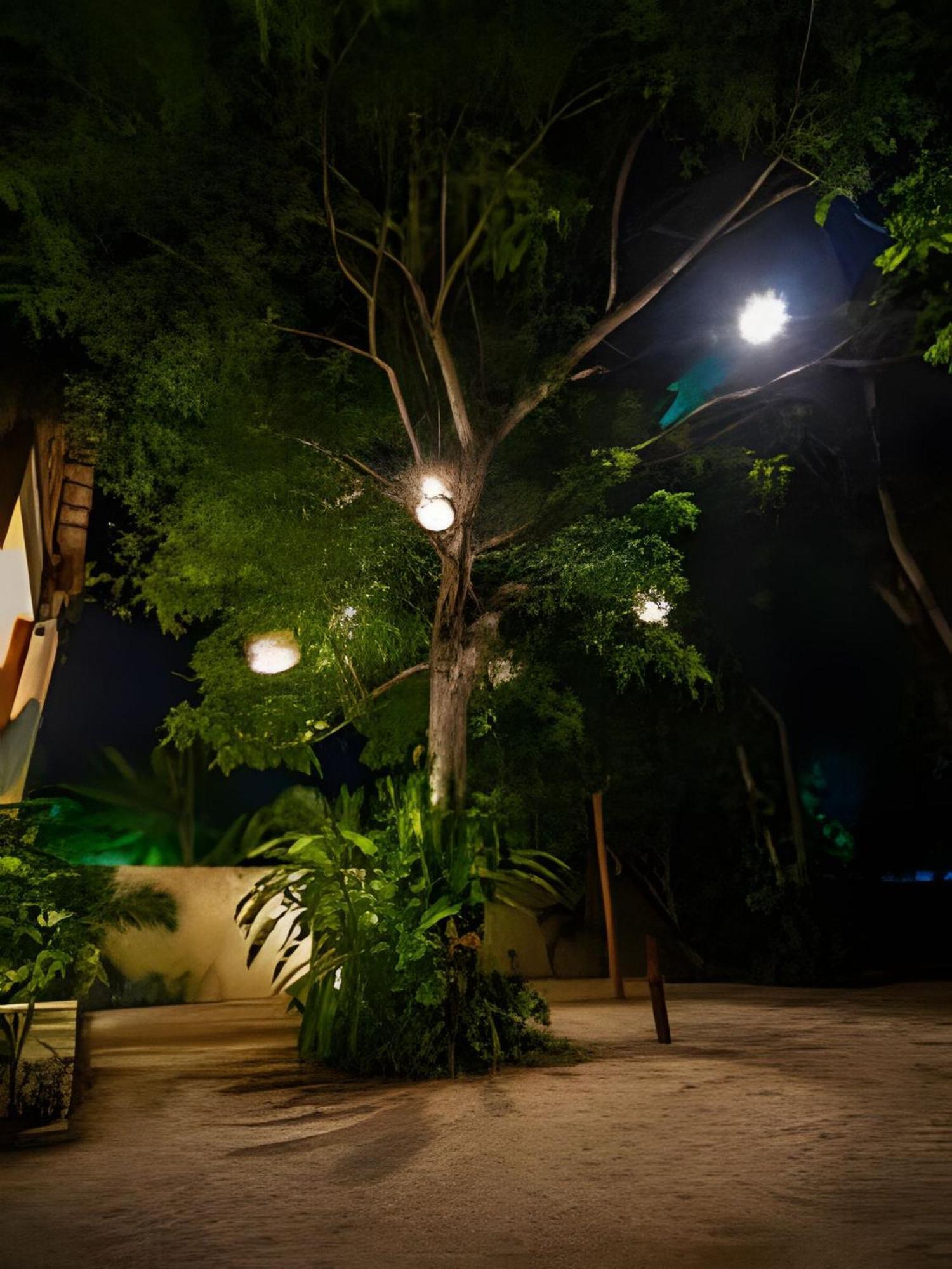 Casa De Piedra - Departamentos Bacalar-公寓 外观 照片